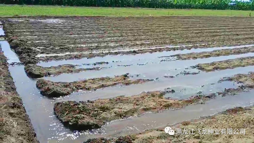 1640653866311808.jpg 9.jpg