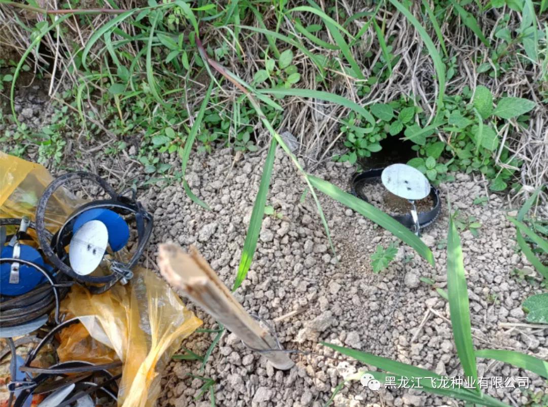 1640653878517930.jpg 10.jpg