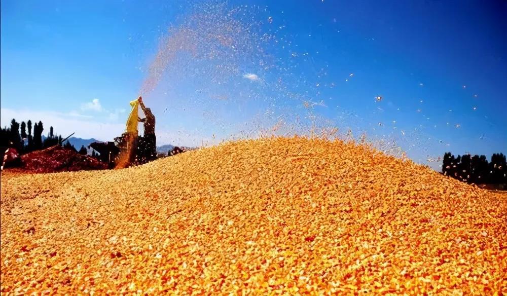 1640655179788428.jpg 2.jpg