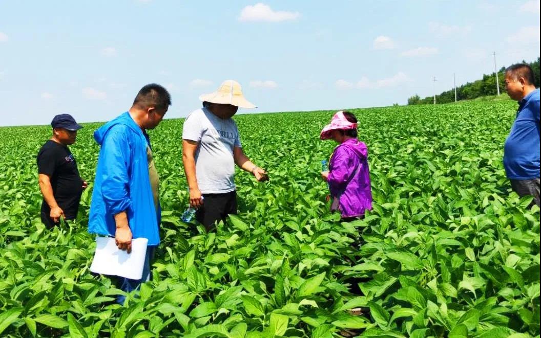 1640661188106439.jpg 2.jpg