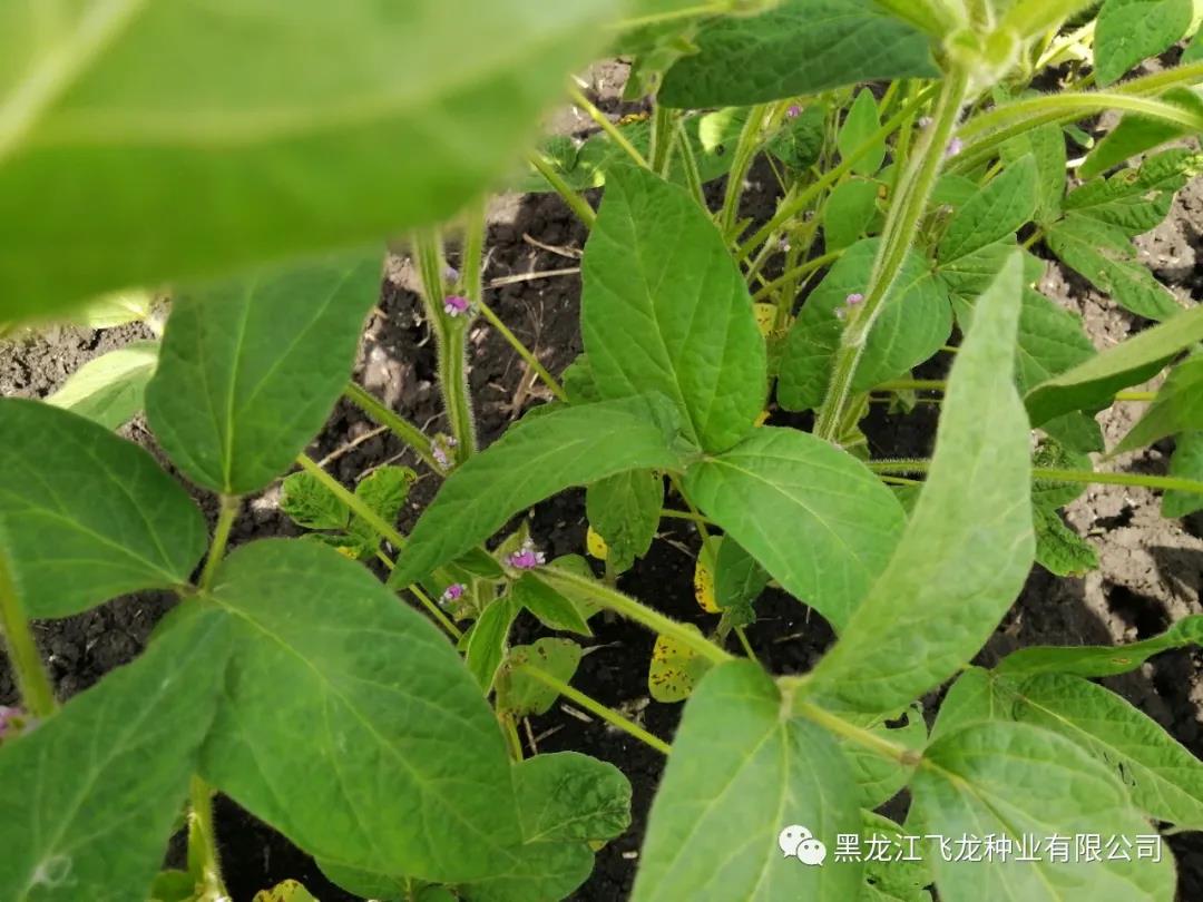 1640661519888735.jpg 10.jpg