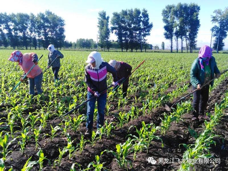 1640668918222517.jpg 14.jpg