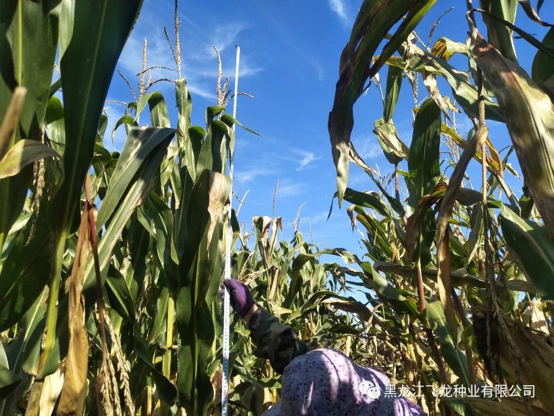 1640677583133179.jpg 3.jpg