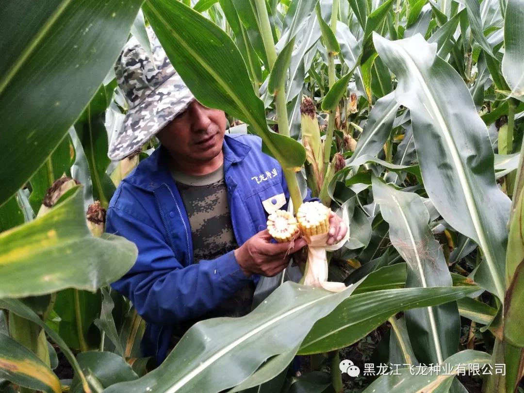 1640677833733390.jpg 13.jpg