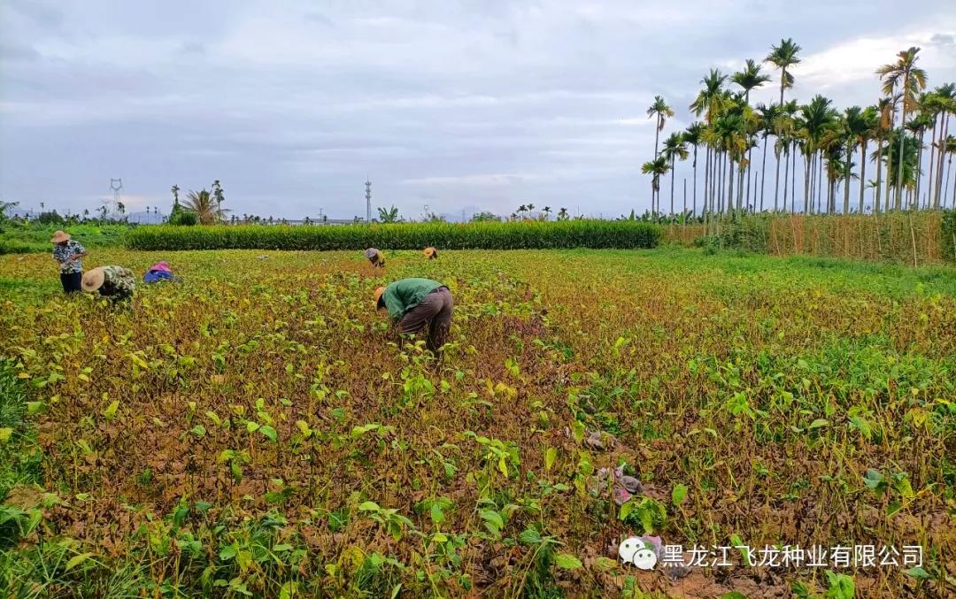 1645436388586953.jpg 6.jpg