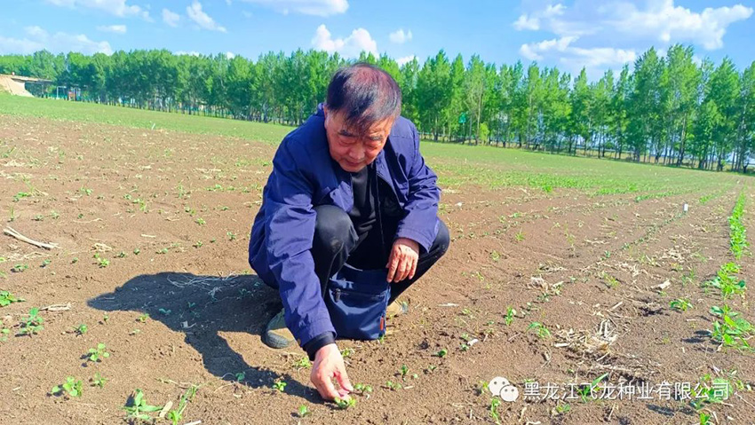 1656469284427606.jpg 5.jpg