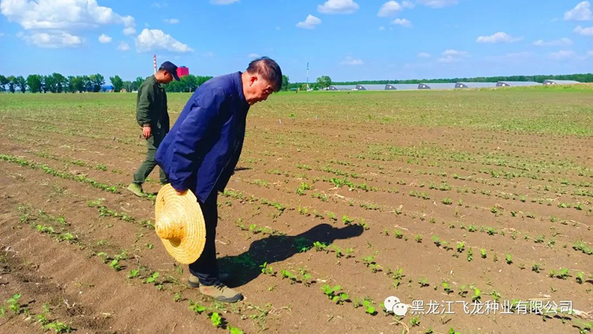 1656469290899063.jpg 6.jpg