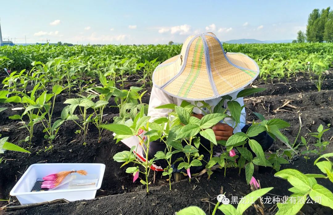 1658970499132731.jpg 3.jpg