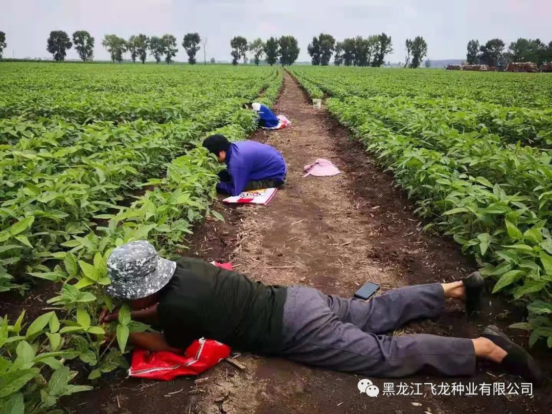 1658970532427994.jpg 7.jpg